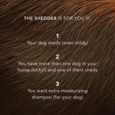 Show full view: Pride+Groom The Shedder Dog Shampoo, 16-fl oz bottle slide 6 of 7