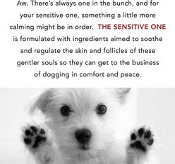 Pride+Groom The Sensitive One Dog Shampoo, 16-oz bottle slide 2 of 7