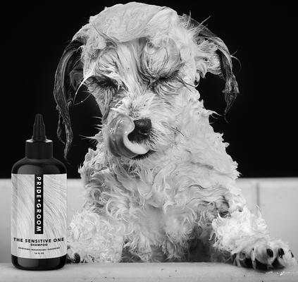 Show full view: Pride+Groom The Sensitive One Dog Shampoo, 16-fl oz bottle slide 5 of 8