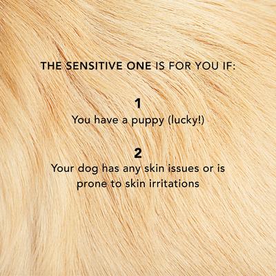 Show full view: Pride+Groom The Sensitive One Dog Shampoo, 16-fl oz bottle slide 6 of 8