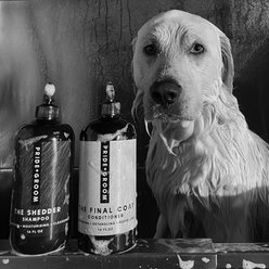 Pride+Groom The Final Coat Dog Conditioner, 16-oz bottle slide 2 of 5