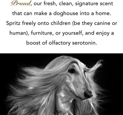 Show full view: Pride+Groom The Proud Pet Freshener Dog Spray, 4-fl oz bottle slide 2 of 4