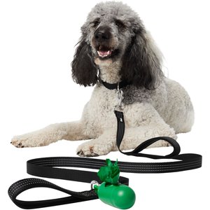 Frisco Traffic Leash with Dual Padded Handles & Poop Bag Dispenser, Black, 6-ft long, 1 count