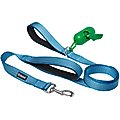 Frisco Traffic Leash with Padded Handles & Poop Bag Dispenser, Blue, Length: 6ft, Width: 1-in