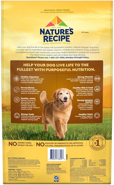 NATURE S RECIPE Mature Lamb Rice Recipe Dry Dog Food 24 lb bag Chewy