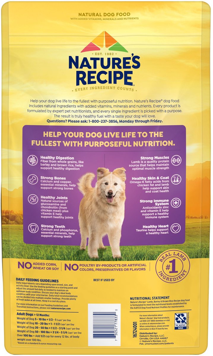 Nature's recipe lamb hotsell and rice dog food