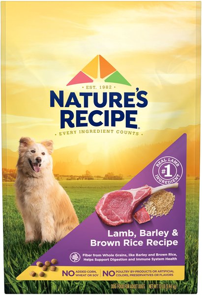 Nature's Recipe Adult Lamb & Rice Recipe Dry Dog Food, 12-lb bag slide 1 of 11