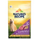 Nature's Recipe Adult Lamb, Barley & Brown Rice Recipe Dry Dog Food, 24-lb bag