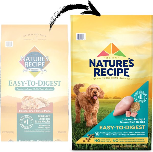 Grain free easy to digest dog food hotsell