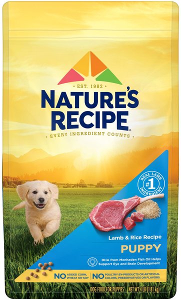 Nature's Recipe Puppy Lamb & Rice Recipe Dry Dog Food, 4-lb bag slide 1 of 8