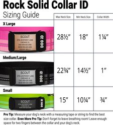 DOG iD The Rock Solid Personalized ID Tag Dog Collar, Slate, Black, Small slide 2 of 7