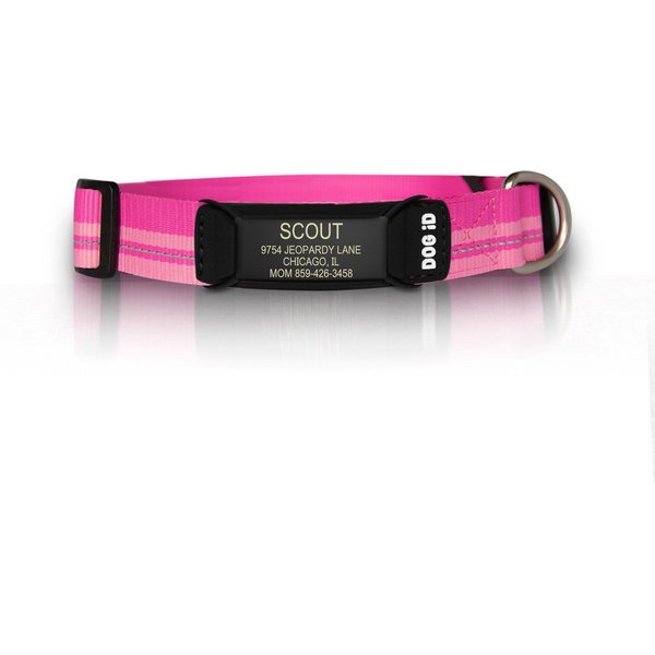 DOG ID The Rock Solid Personalized ID Tag Dog Collar, Slate, Pink