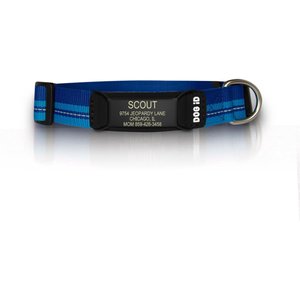 ROAD iD The Rock Solid Personalized ID Tag Dog Collar, Graphite, Blue, Small