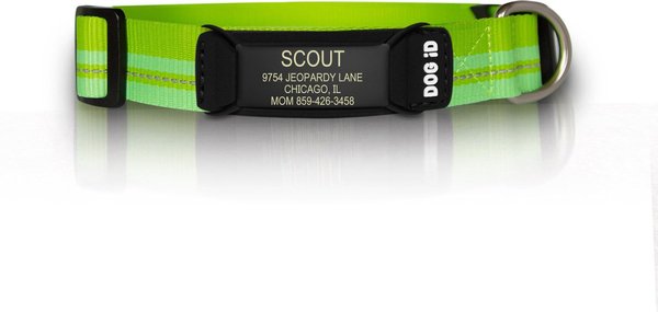 ROAD iD The Rock Solid Personalized ID Tag Dog Collar, Graphite, Green Small slide 1 of 2