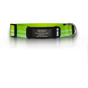 ROAD iD The Rock Solid Personalized ID Tag Dog Collar, Graphite, Green Small