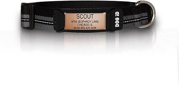 DOG iD The Rock Solid Personalized ID Tag Dog Collar, Rose Gold, Black, Small slide 1 of 2