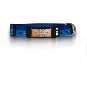 ROAD iD The Rock Solid Personalized ID Tag Dog Collar, Rose Gold, Blue, Small