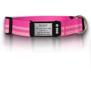 DOG iD The Rock Solid Personalized ID Tag Dog Collar, Slate, Pink, Medium/Large