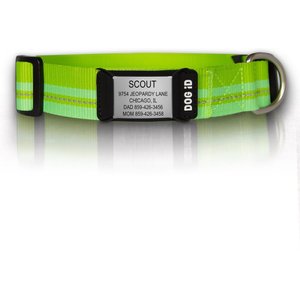 DOG iD The Rock Solid Personalized ID Tag Dog Collar, Slate, Green, Medium/Large