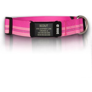 ROAD iD The Rock Solid Personalized ID Tag Dog Collar, Graphite, Pink, Medium/Large