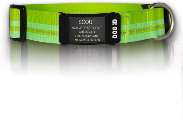 DOG iD The Rock Solid Personalized ID Tag Dog Collar, Graphite, Green, Medium/Large slide 1 of 2