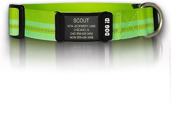 DOG iD The Rock Solid Personalized ID Tag Dog Collar, Graphite, Green, Medium/Large slide 1 of 8