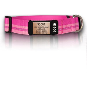 DOG iD The Rock Solid Personalized ID Tag Dog Collar, Rose Gold, Pink, Medium/Large