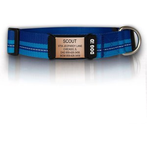 ROAD iD The Rock Solid Personalized ID Tag Dog Collar, Rose Gold, Blue, Medium/Large