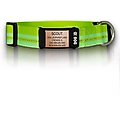 DOG iD The Rock Solid Personalized ID Tag Dog Collar, Rose Gold, Green, Medium/Large