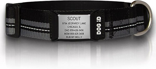 DOG iD The Rock Solid Personalized ID Tag Dog Collar, Slate, Black, X-Large slide 1 of 7