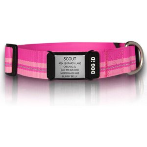ROAD iD The Rock Solid Personalized ID Tag Dog Collar, Slate, Pink, X-Large