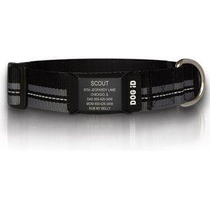 DOG iD The Rock Solid Personalized ID Tag Dog Collar, Graphite, Black, X-Large