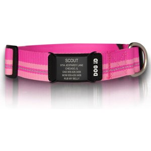 ROAD iD The Rock Solid Personalized ID Tag Dog Collar, Graphite, Pink, X-Large