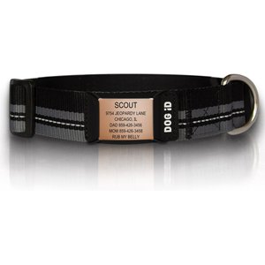 ROAD iD The Rock Solid Personalized ID Tag Dog Collar, Rose Gold, Black, X-Large
