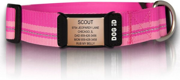 ROAD iD The Rock Solid Personalized ID Tag Dog Collar, Rose Gold, Pink, X-Large slide 1 of 5