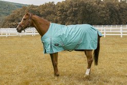 TuffRider 1200 D Comfy Winter Horse Blanket, Turquoise, 69-in