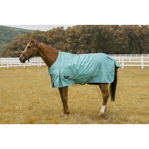 TuffRider 1200 D Comfy Winter Horse Blanket, Turquoise, 69-in