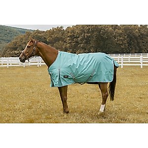 TuffRider 1200 D Comfy Winter Horse Blanket, Turquoise, 84-in