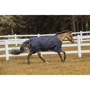 TuffRider 1200 D Comfy Winter Horse Blanket, Navy, 75-in