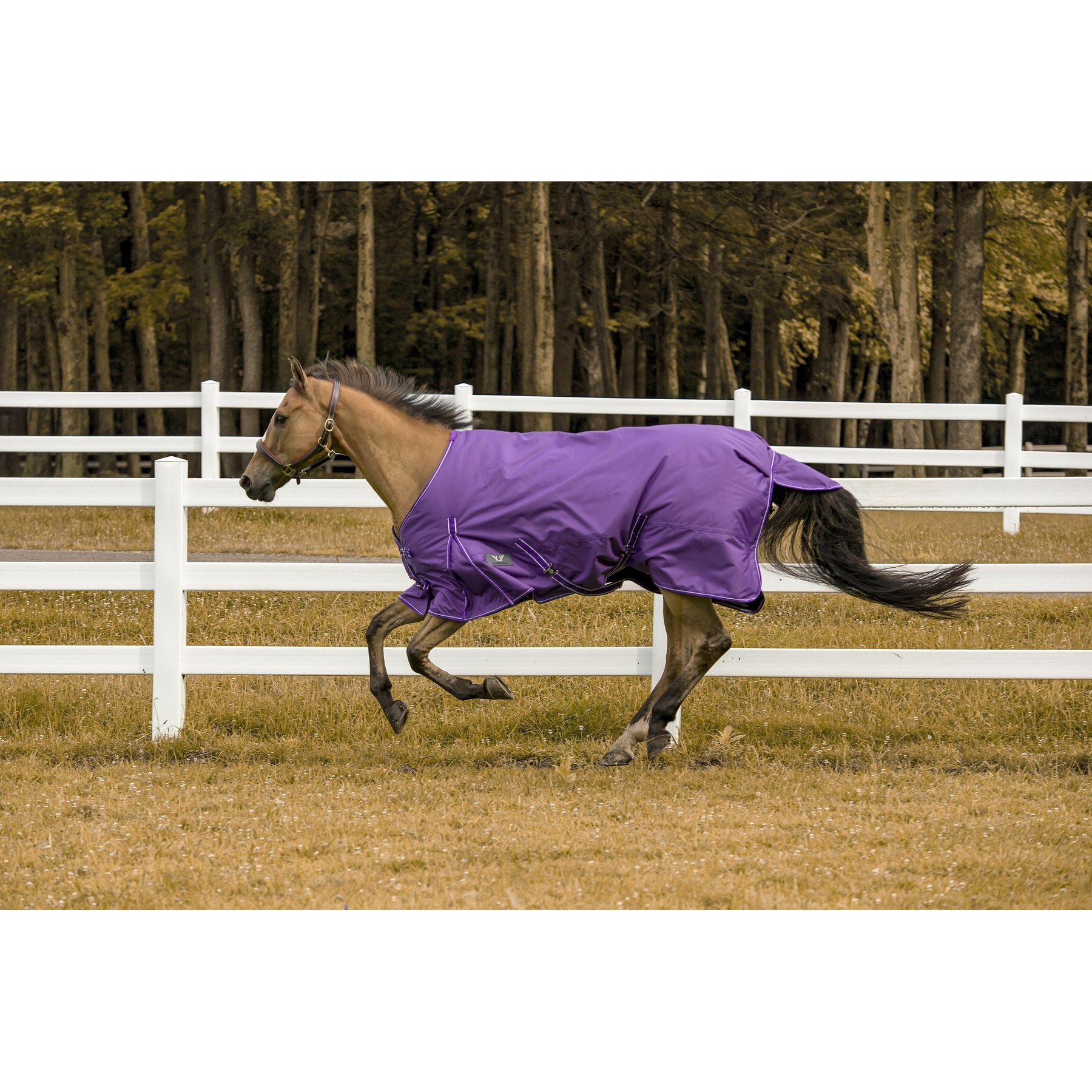 TuffRider 1200 D Comfy Winter Blanket 81 Purple