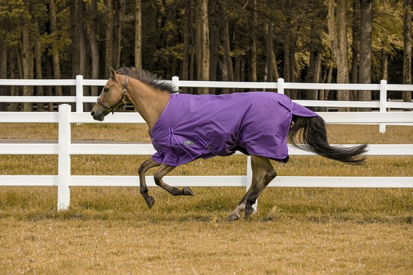 TuffRider 1200 D Comfy Winter Horse Blanket, Purple, 75-in slide 1 of 2