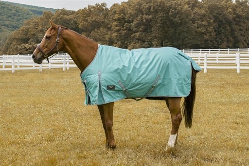 TuffRider 600 D Comfy Winter Horse Blanket, Turquoise, 75-in