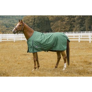 TuffRider 600 D Comfy Winter Horse Blanket, Hunter, 81-in