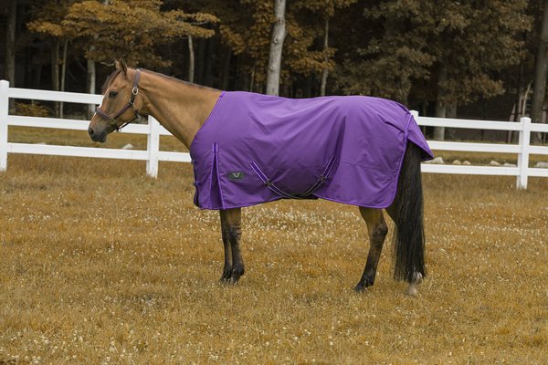 Tuffrider 600 D Comfy Winter Horse Blanket, Purple, 72-in slide 1 of 2