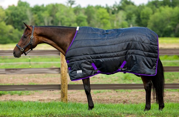 TuffRider Kozy Komfort Stable Horse Blanket, Black, 78-in slide 1 of 2