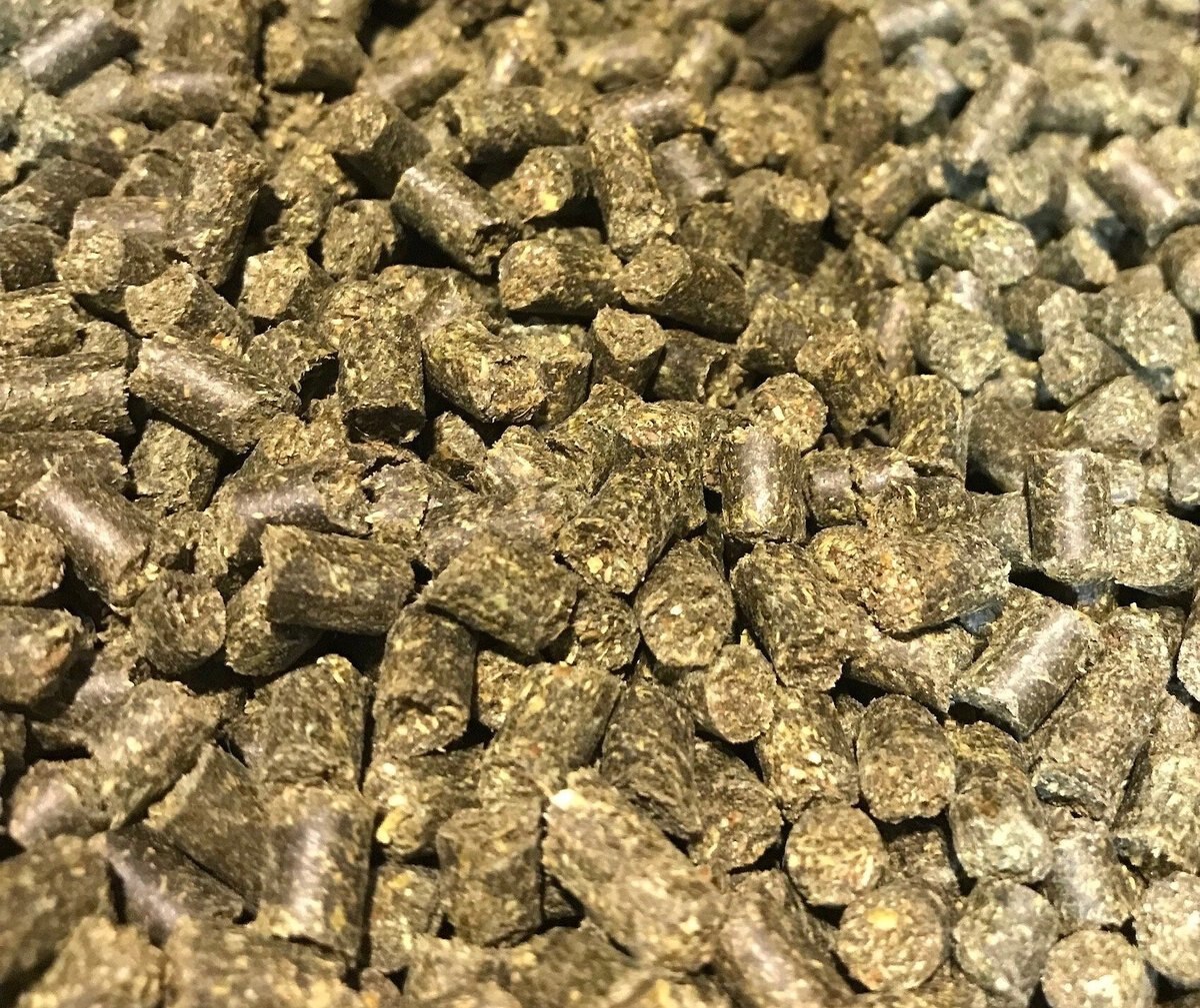 EQUITHRIVE Vitamin E Pellets Horse Supplement, 10lb tub