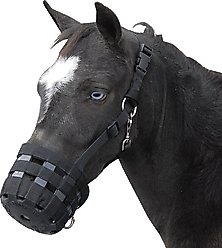 Best Friend Deluxe Grazing Horse Muzzle, Mini