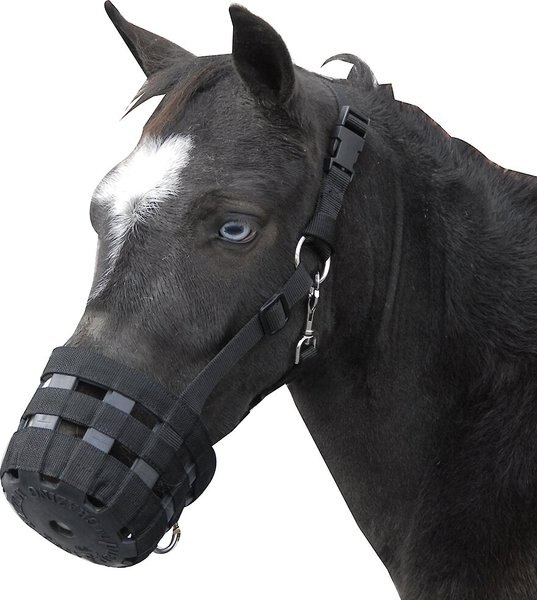 Best Friend Deluxe Grazing Horse Muzzle