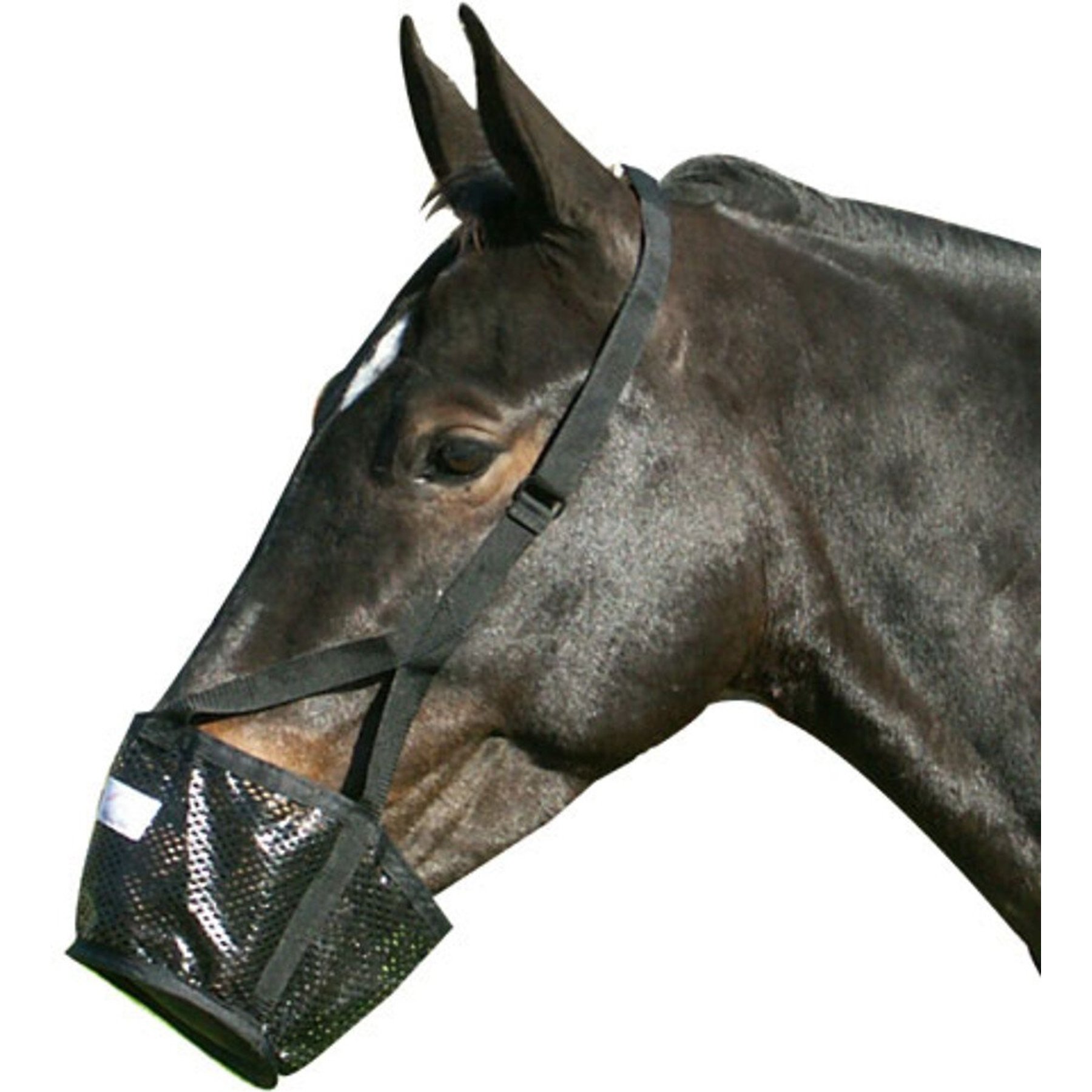 Best Friend Soft Stall Horse Muzzle, Horse
