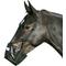 Show in main carousel: Best Friend Soft Stall Horse Muzzle, Horse slide 1 of 1